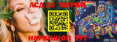 скорость Новозыбков