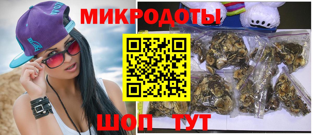 Галлюциногенные грибы Psilocybine cubensis Тихорецк