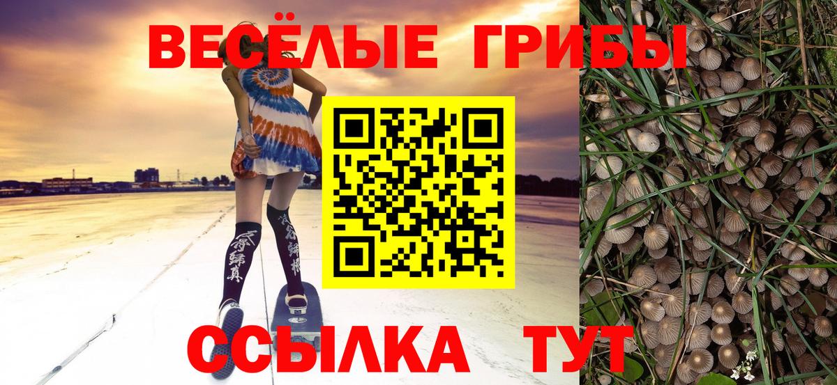 Тихорецк  Галлюциногенные грибы прущие грибы  Вход с VPN  Галлюциногенные грибы мицелий 